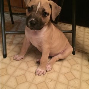 Meet your Posher, Alisa